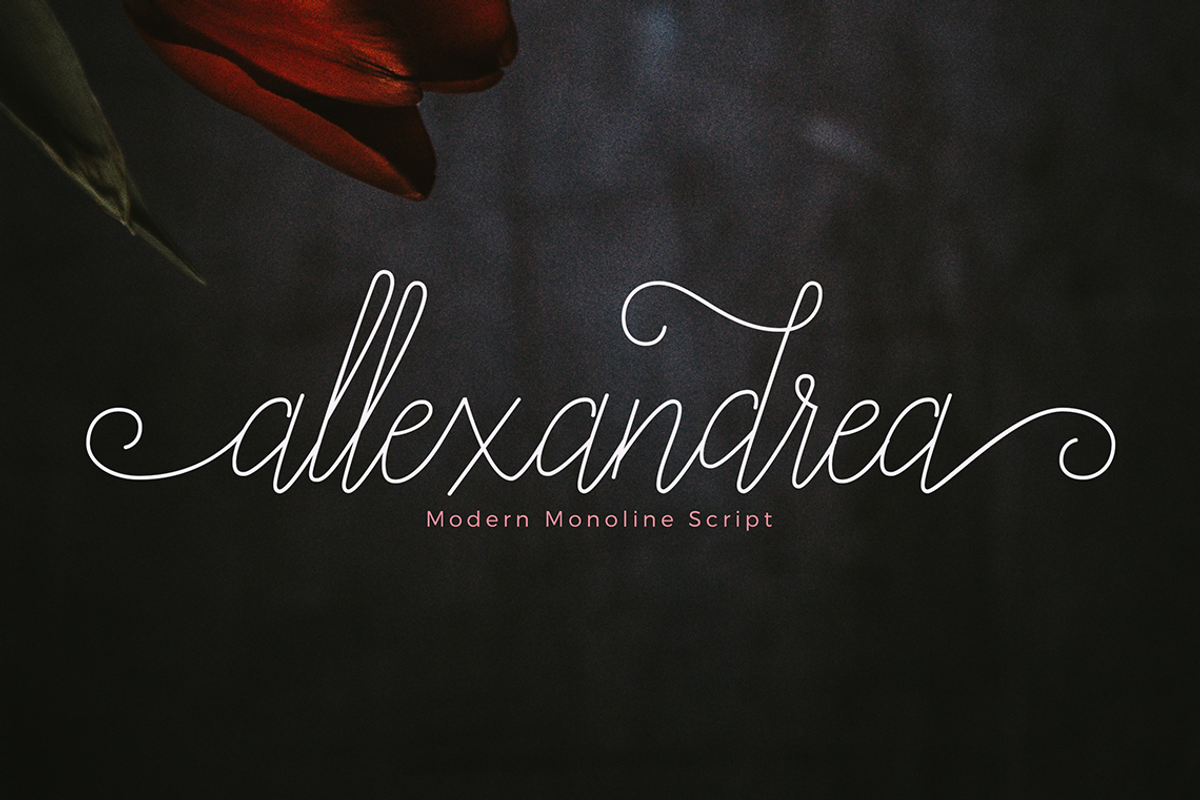 Allexandrea-Script-01