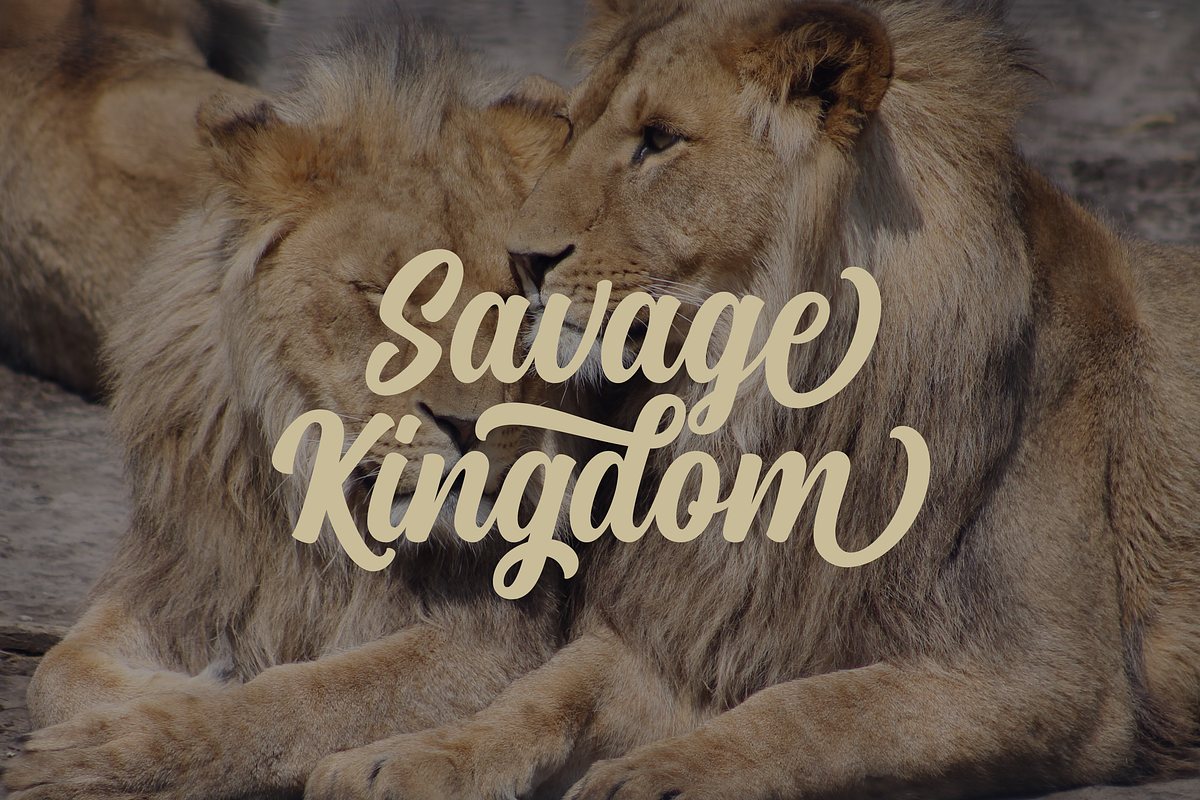 2640561-Medallion-Script-07